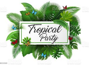 Première Soirée "Tropical Party"